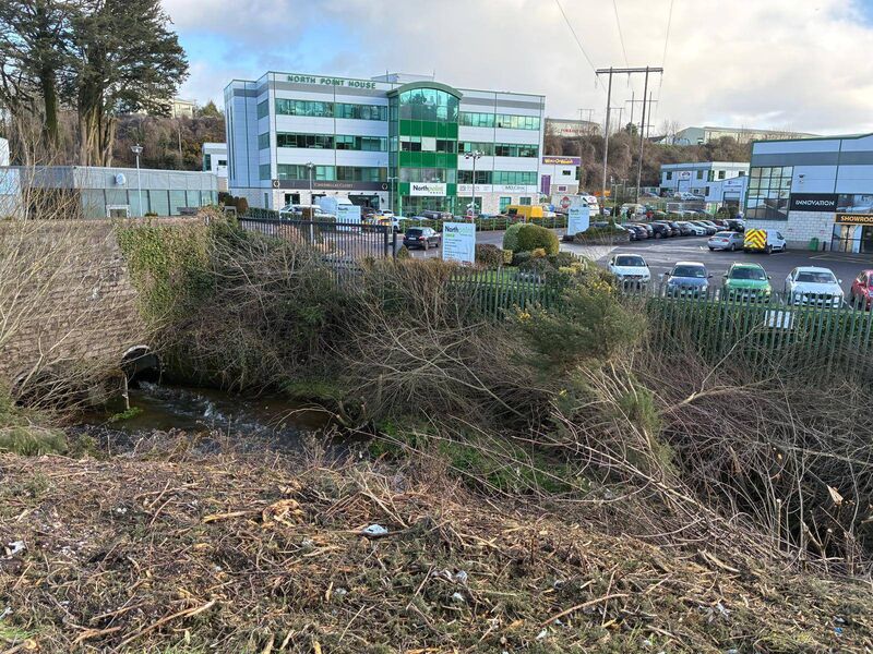 Crews from a tree care company were seen cutting hundreds of trees along the riverbank outside the Northpoint Business Park in January. 