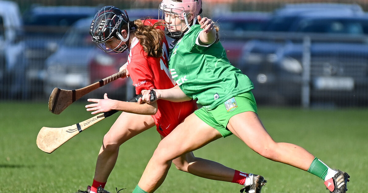Lea Meillouin goals key as Cork minor camogie side beat Limerick to get back on track