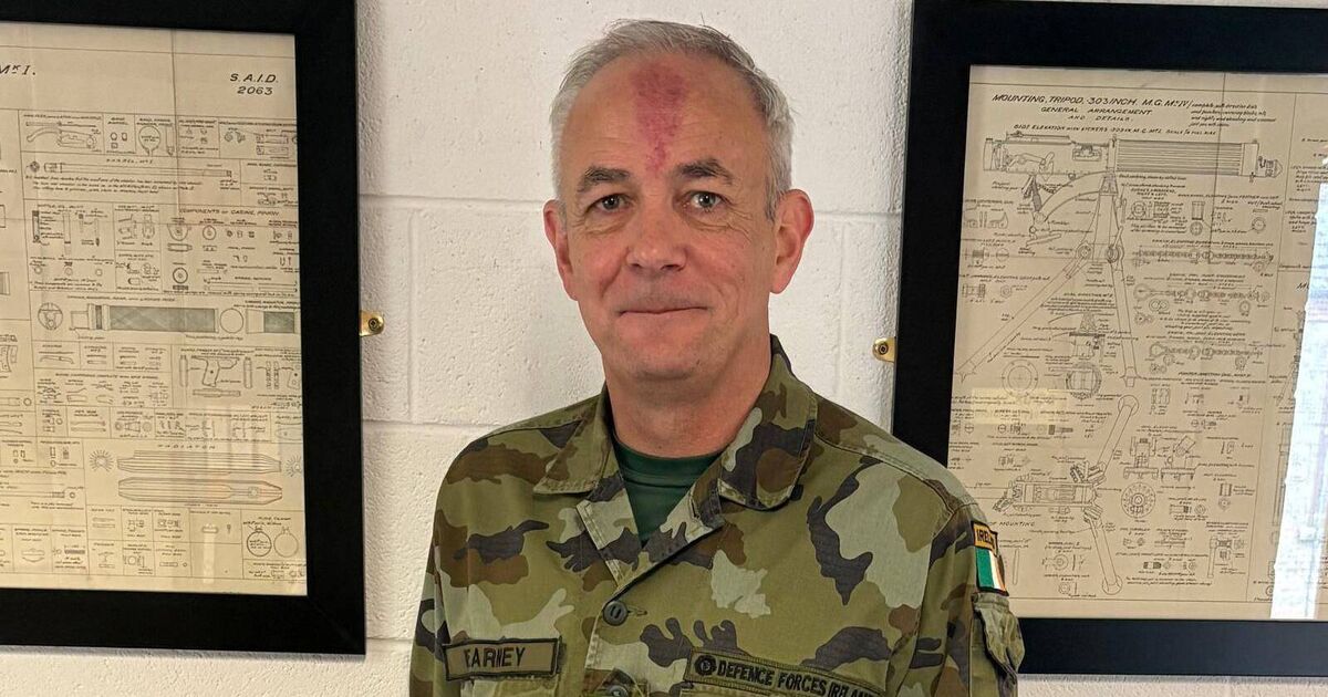 Defence Forces Ombudsman does not have power to investigate case of commandant denied promotion