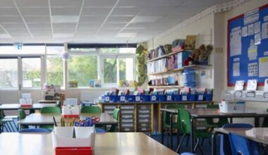 Minister asked to explain 'alarming cull' of SNAs in mainstream classes - Irish Examiner