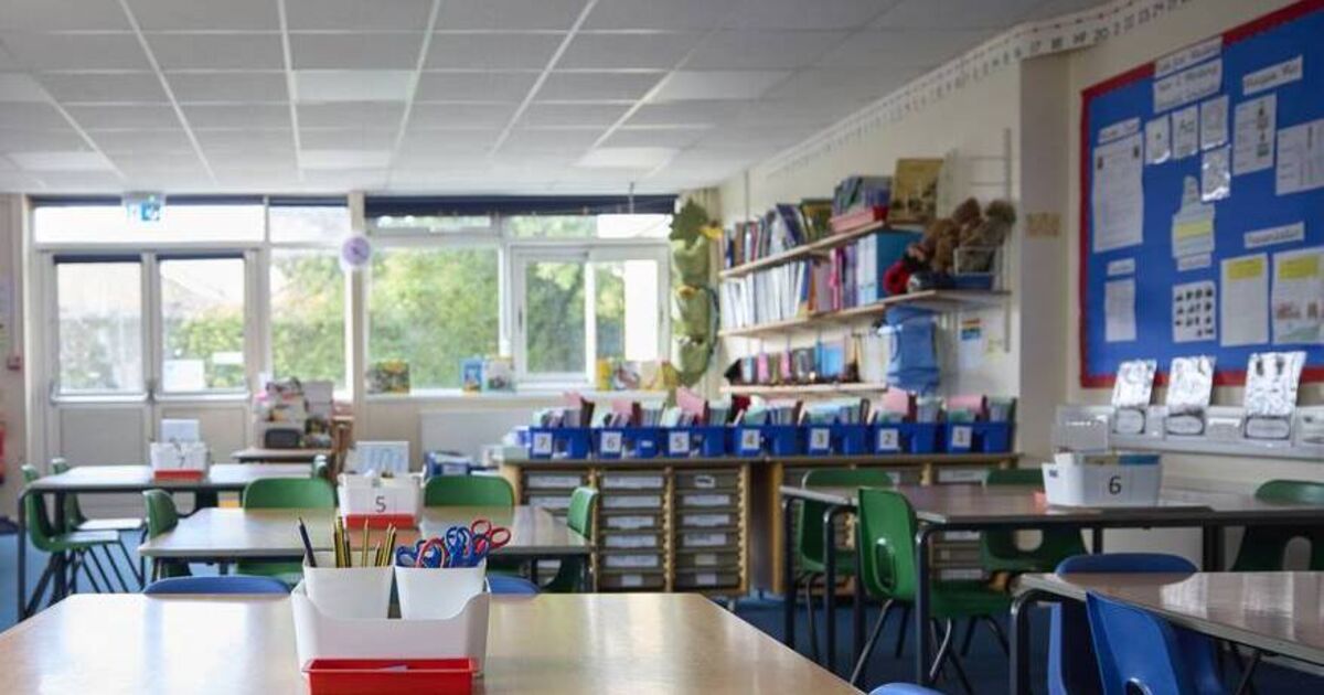 Minister asked to explain 'alarming cull' of SNAs in mainstream classes - Irish Examiner