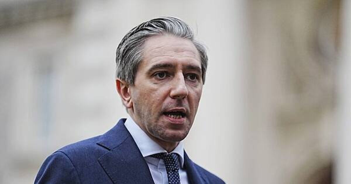 Plan for savings scheme within four months, Simon Harris says