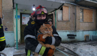 Dark money is a threat to national security that Ireland can no longer afford to ignore