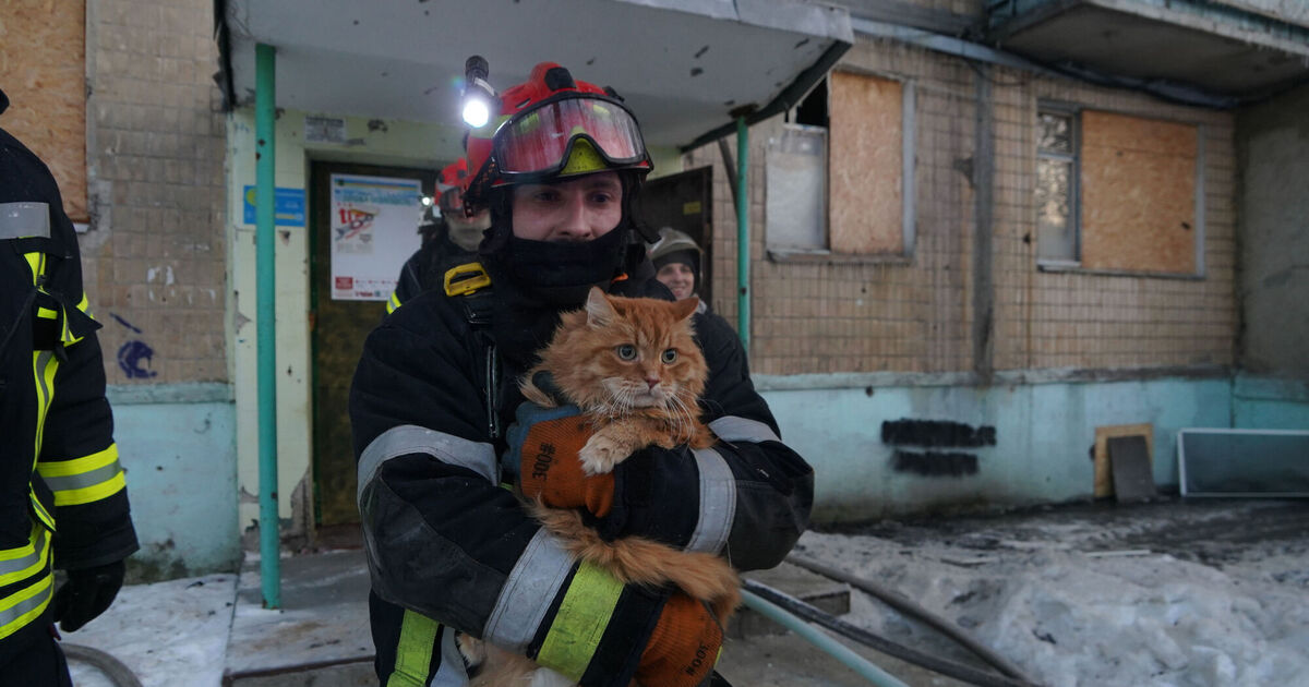 Dark money is a threat to national security that Ireland can no longer afford to ignore