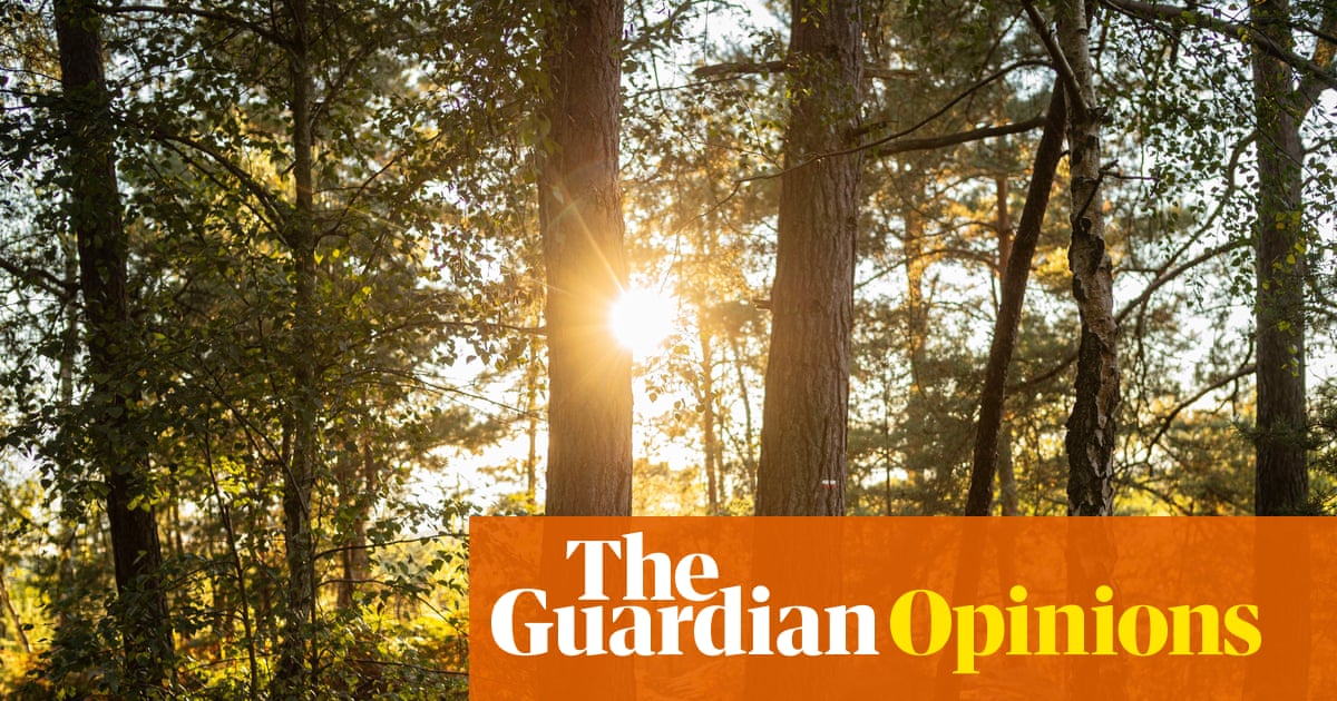 The Guardian view on risks from biodiversity collapse: warnings must be heeded before it’s too late | Editorial