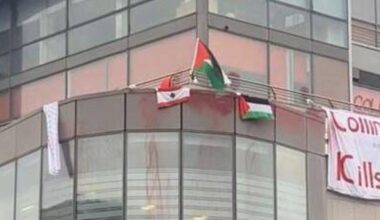 Palestine protest may have caused €100k of damage at Collins Aerospace in Cork, court told