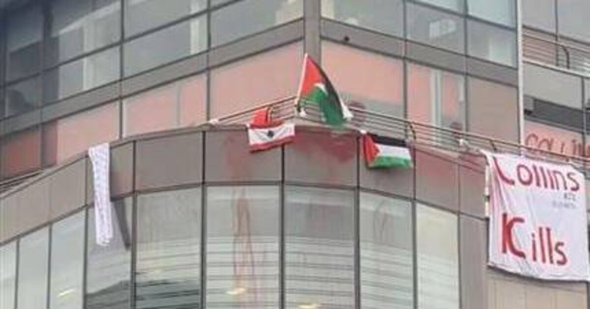 Palestine protest may have caused €100k of damage at Collins Aerospace in Cork, court told