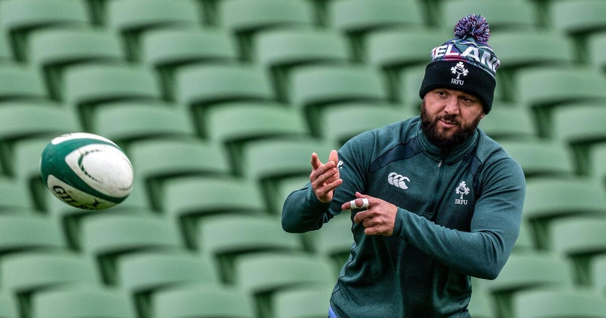 Gibson-Park a 'dream player' for Andy Farrell's Ireland