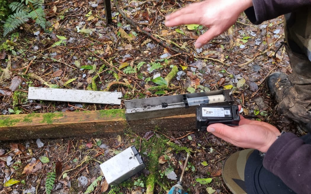 Mayonnaise is used in auto dispensers to lure predators to detection cameras.