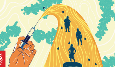 Pharmac makes move towards funding weight loss drug Wegovy