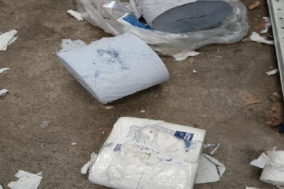 The foxes left a trail of damage behind