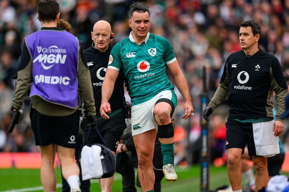 James Lowe of Ireland receives medical attention against England