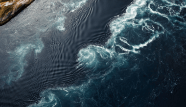 5 Million Year Old Crustaceans Unveil Ancient Ocean Routes Across The North Pacific