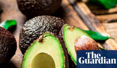 Avocados are a Super Bowl staple – but are they truly a miracle food? | Well actually