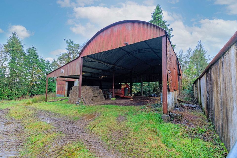 One of the sheds on the farm at Ballydough, Milestone, Thurles
