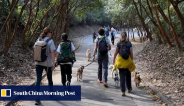 How walking in Hong Kong is helping with cancer recovery and mental health