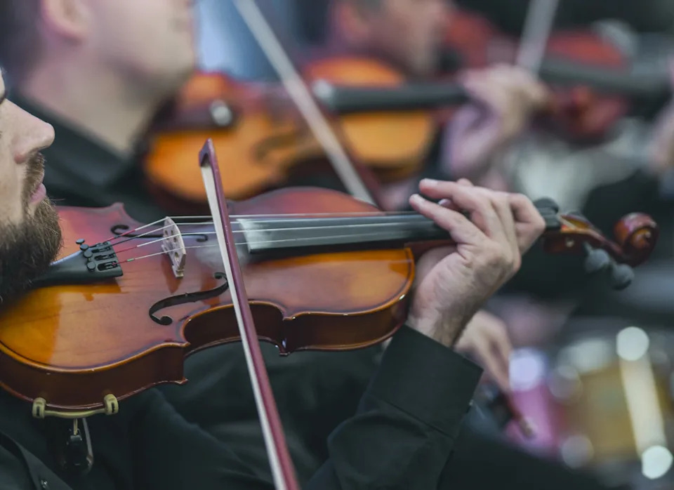 Musicians in formal attire play violins in an orchestra setting, focused and engaged with their instruments during a performance