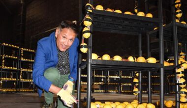 Chemistry world records: giant crystals, lemon batteries and elephant's toothpaste