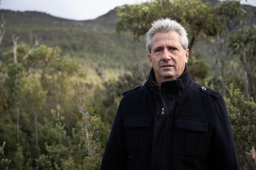 A man stands in a forest clearing.