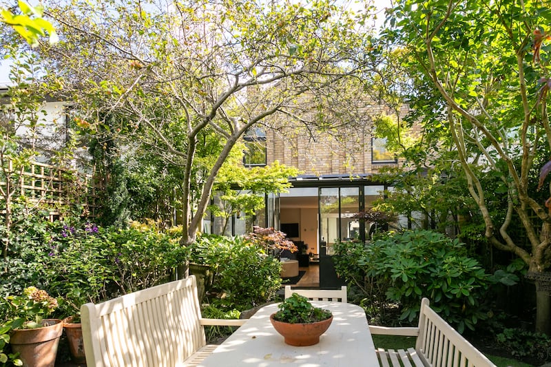 The rear garden, planted 30 years ago, is now a city oasis