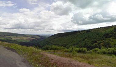 Midlands Site Captures Wildlife For European Survey