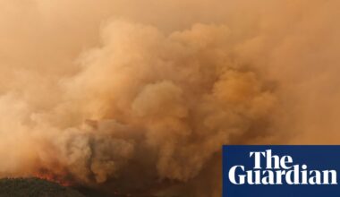 Some of world’s oldest trees hit by climate-fuelled wildfires in Patagonia | Wildfires