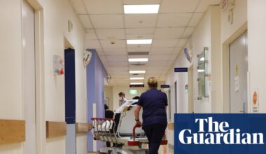 Doctor previously banned from complex surgery in NSW given senior clinical safety role with Queensland Health | Health