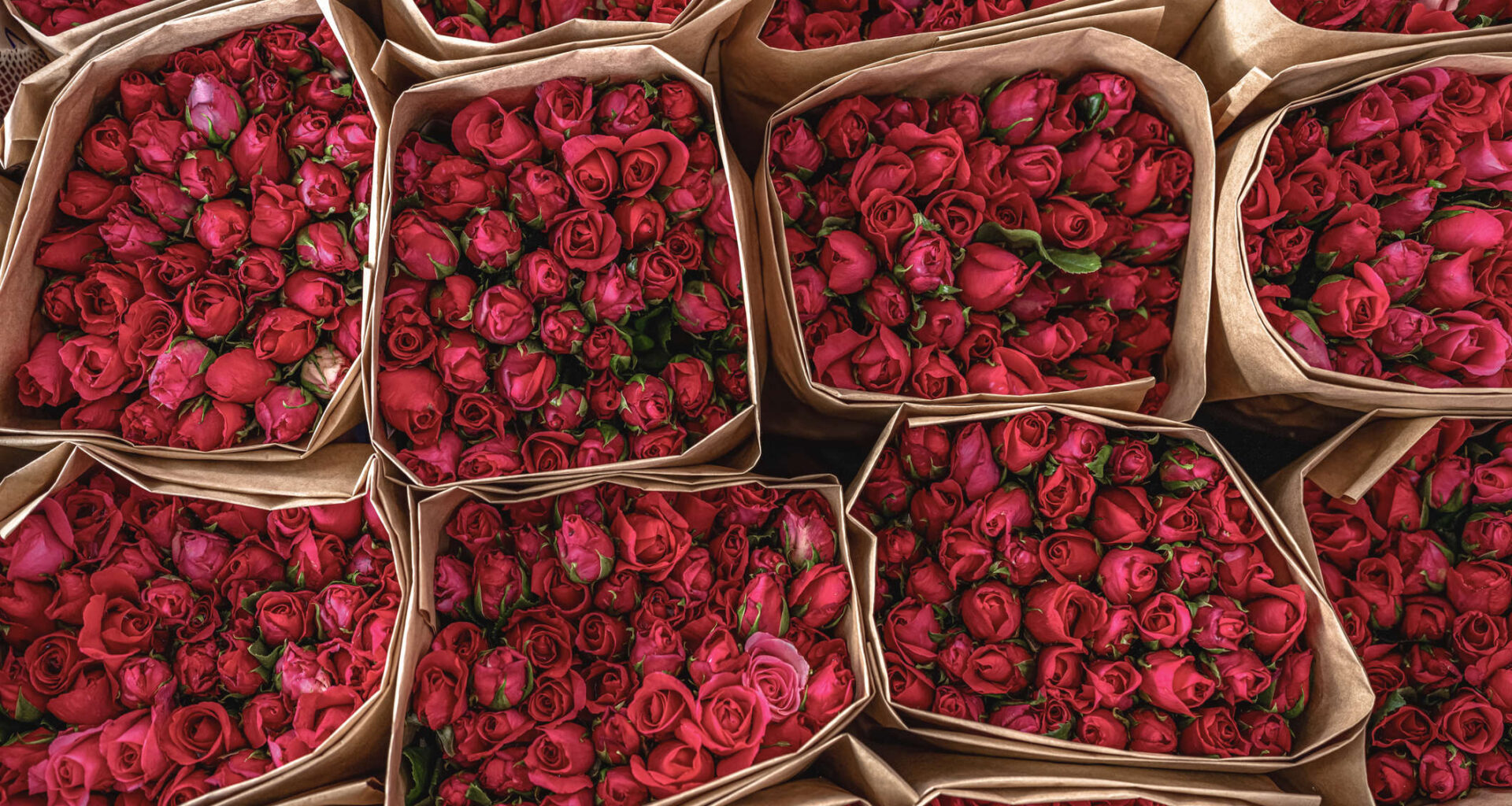 Limerick men among the most romantic in Ireland