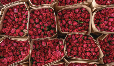 Limerick men among the most romantic in Ireland