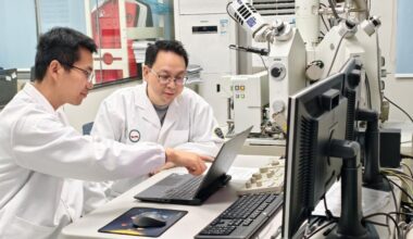 Chinese team cracks a rare earth mystery