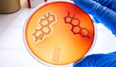 Testosterone Increases Severity of Bacterial Skin Infections