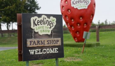 Woman withdraws €60,000 personal injuries claim against Keelings after footage of incident played – The Irish Times