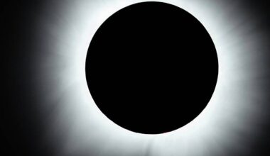 There are 180 companies working in the space sector in Ireland