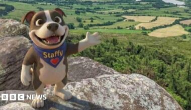 An animated design of a dog on its hind feet, waving with its paws towards the camera with a smile. The dog is brown and white with a blue neckerchief with "Staffy" and a heart on it. The dog stands on a rocky outcrop, overlooking green trees.
