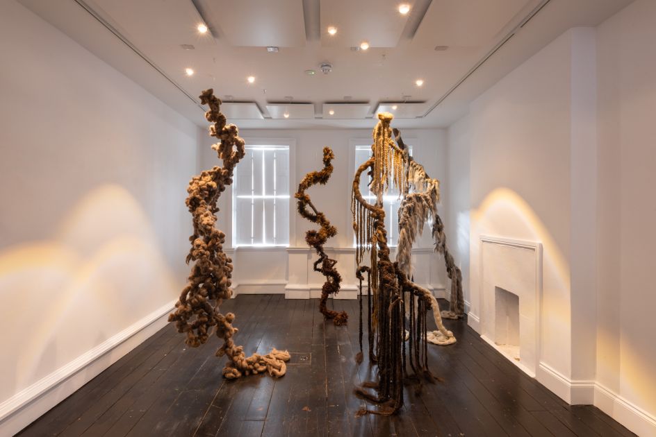 Courtesy of Camila Barvo. Photo by Rene Lazovy