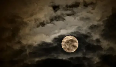 Subscribe Placeholder