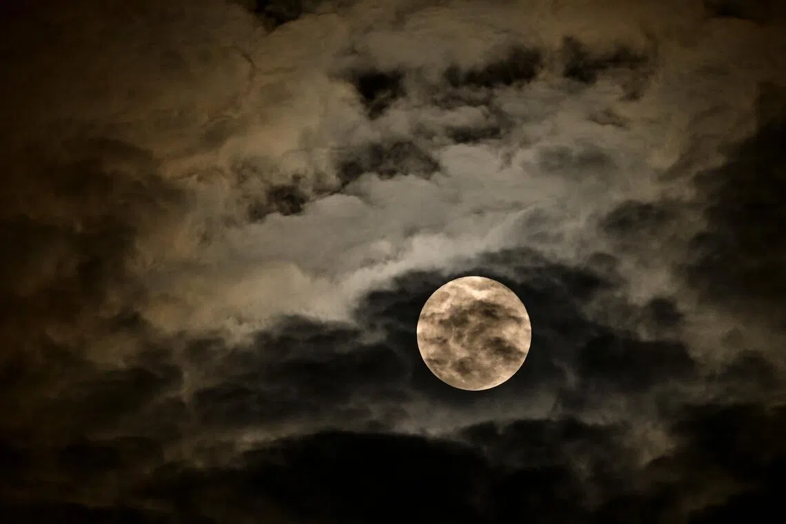 Subscribe Placeholder