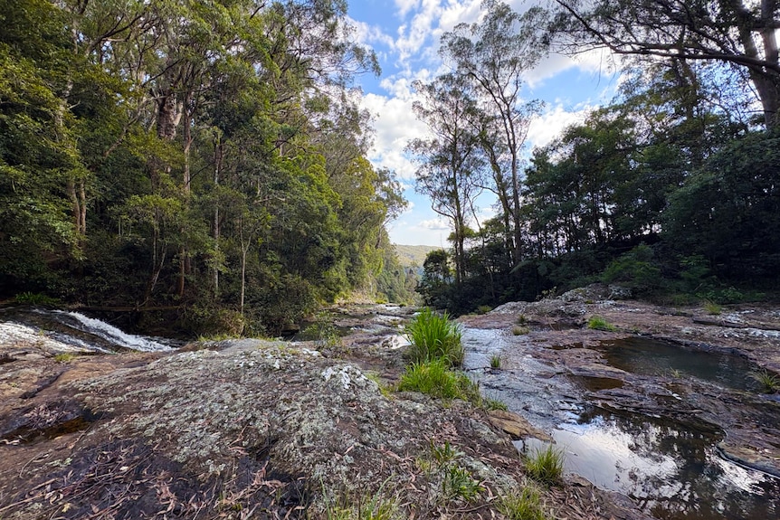 water and rocks on ground