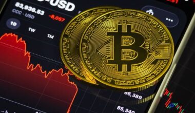 Bitcoin drops 14pc in a day and sheds half its value in four months as crypto woes continue