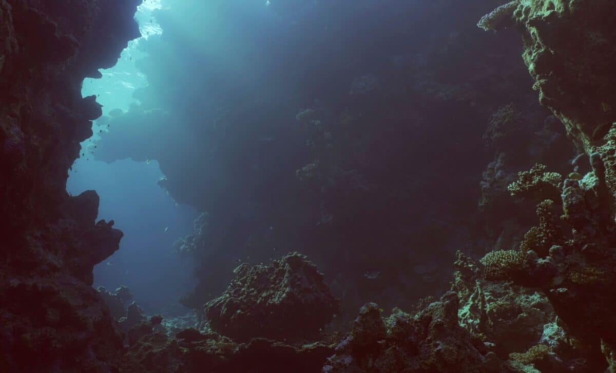 A Chinese Team Found Something Incredible 10,000 Meters Below The Ocean, Here's What What They Discovered