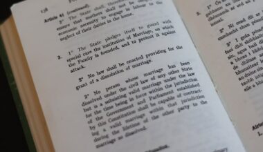 Leading judge on how it could impact the drive for a united Ireland – The Irish Times