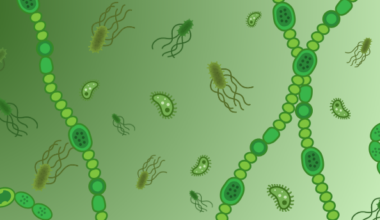 Aerobic Respiration Began Much Earlier Than We Thought