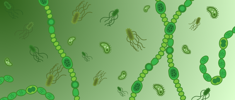 Aerobic Respiration Began Much Earlier Than We Thought