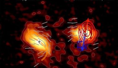 The Magnetic Superhighways That Drive Galaxy Evolution