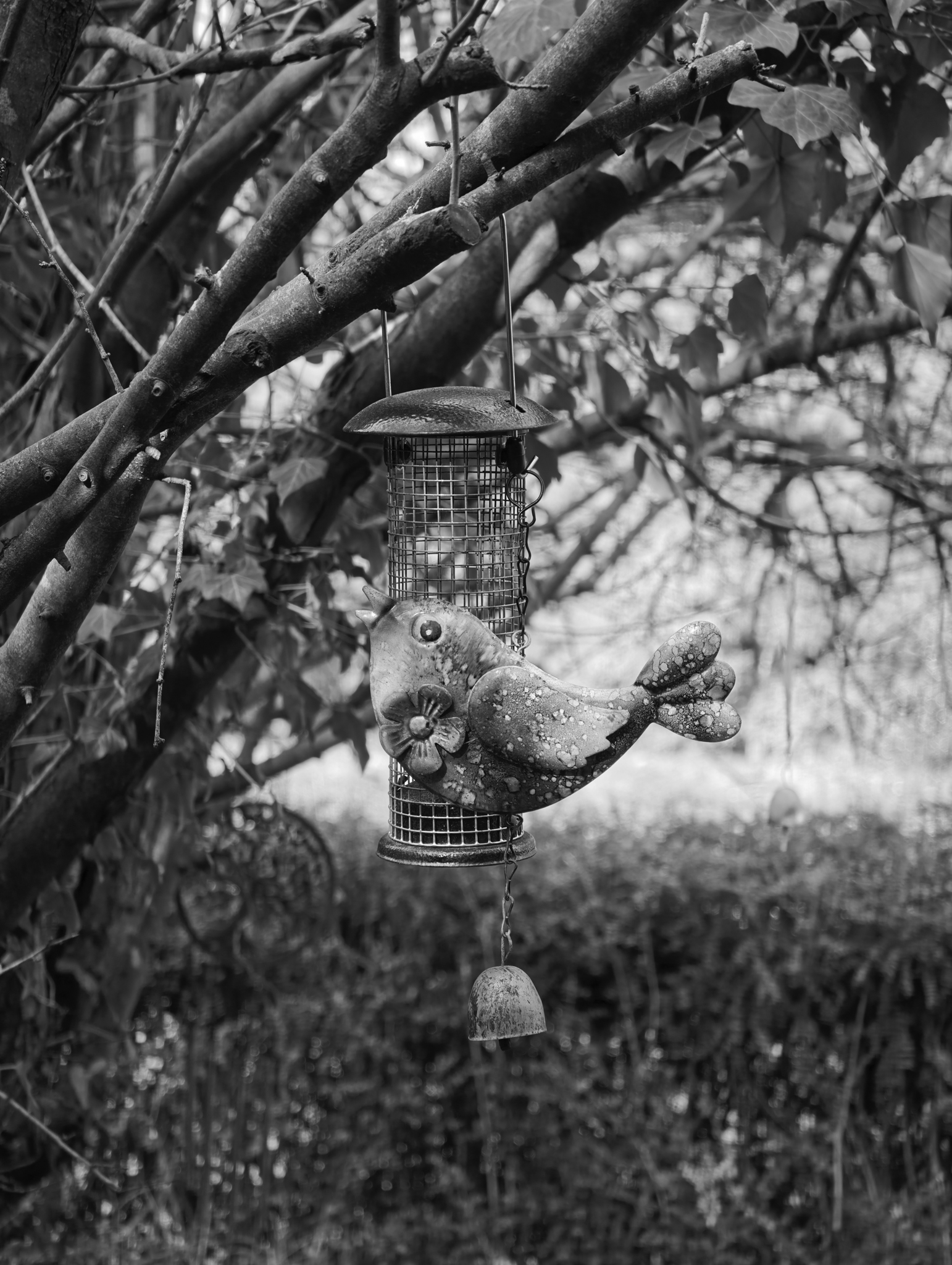 A photo taken on a Leica Leitzphone 200MP smartphone camera