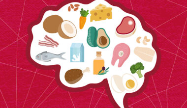 Study explains how ketogenic diets prevent seizures – WashU Medicine