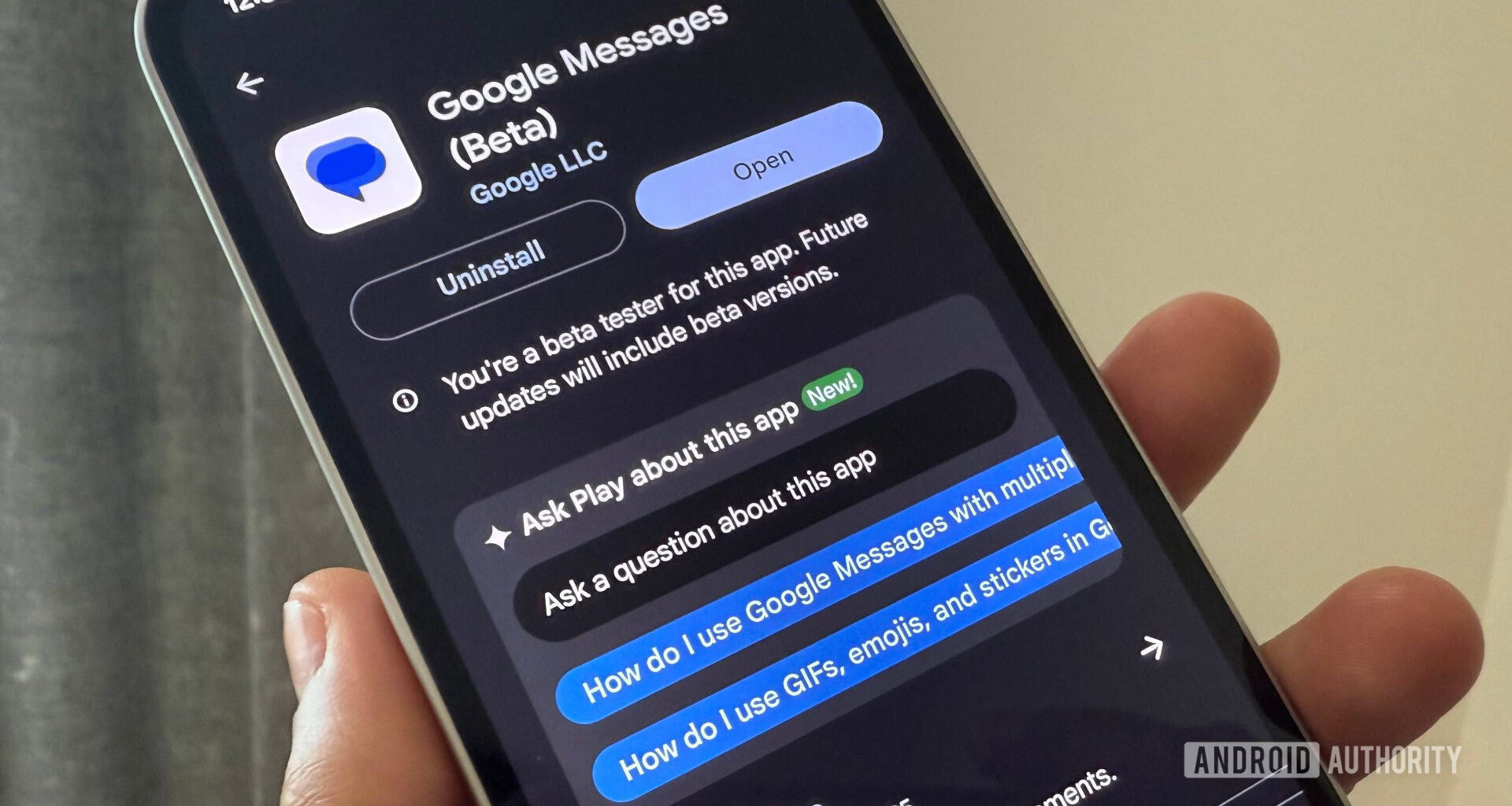 A screenshot of the Ask Play About this app feature in the Google Play Store