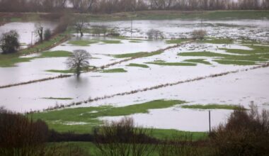 Why is it so wet? Ireland is collateral damage in the battleground between weather systems – The Irish Times