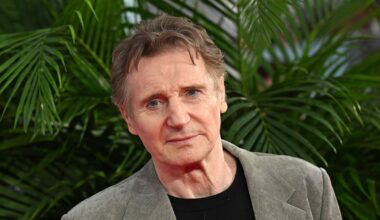 ‘We’re all very concerned about the state of Hollywood’ – The Irish Times