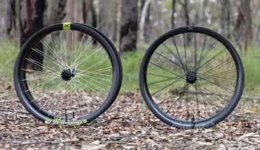 Reviewing Berd polymer vs steel-bladed spokes